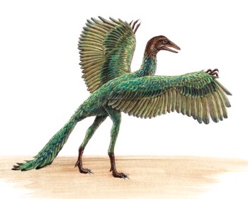 Creación artística de Archaeopteryx